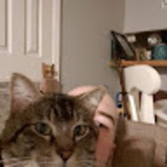 Meet your Posher, Joshua - Picture 1 of 1